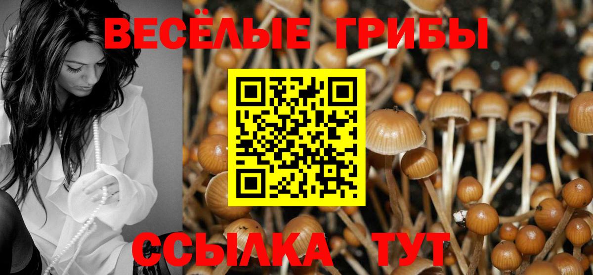 Реж  Псилоцибиновые грибы Psilocybine cubensis  Псилоцибиновые грибы MAGIC MUSHROOMS  Вход с VPN 
